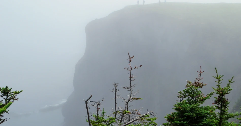 Hiking, Kayaking & Coastal Fun: Outdoor Activities in Fort Bragg