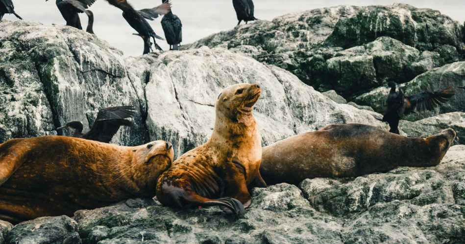 Hiking, Kayaking & Coastal Fun: Outdoor Activities in Fort Bragg